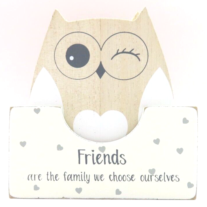 Wooden Owl Coasters Friends are the Family we choose ourselves Set of 6 Holder