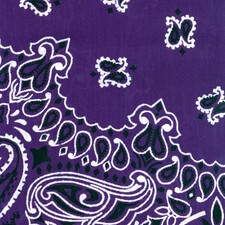 Hav-A-Hank Paisley Bandanna 22"X22" Purple