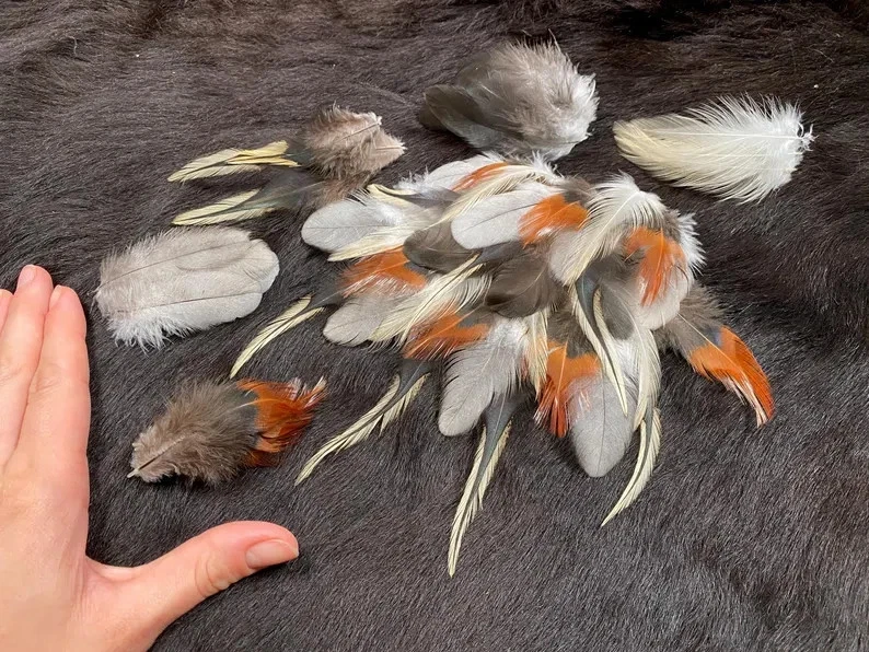 50er Federmix, 5-10cm, 5 Sorten, Bastelfedern aus guter Haltung, Naturfedern, kl - Bild 2 von 4