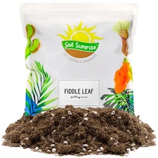 Fiddle Leaf Fig Potting Mix, Soil Amendment for Potted Fig Trees