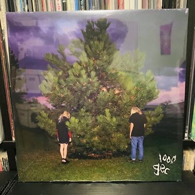 100 Gecs - 1000 Gecs Vinyl LP New Sealed Record Black Vinyl | eBay