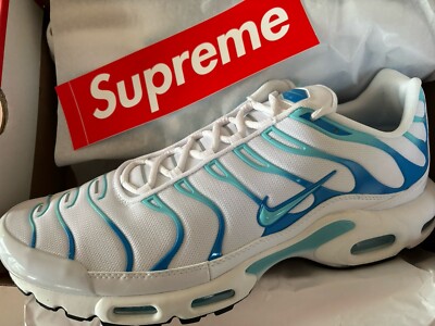 Nike Air Max Plus TN 'Dreams' 2024 Men's Size 13 US 604133-135