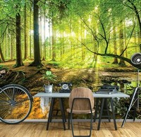 Wald Bach Sonne Vlies Fototapete GrüN Natur Flur Wohnzimmer Tapete Xxl 368X254