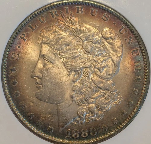 1880 Philadelphia Morgan US Silver Dollar ~ Toning ~ Uncirculated ~