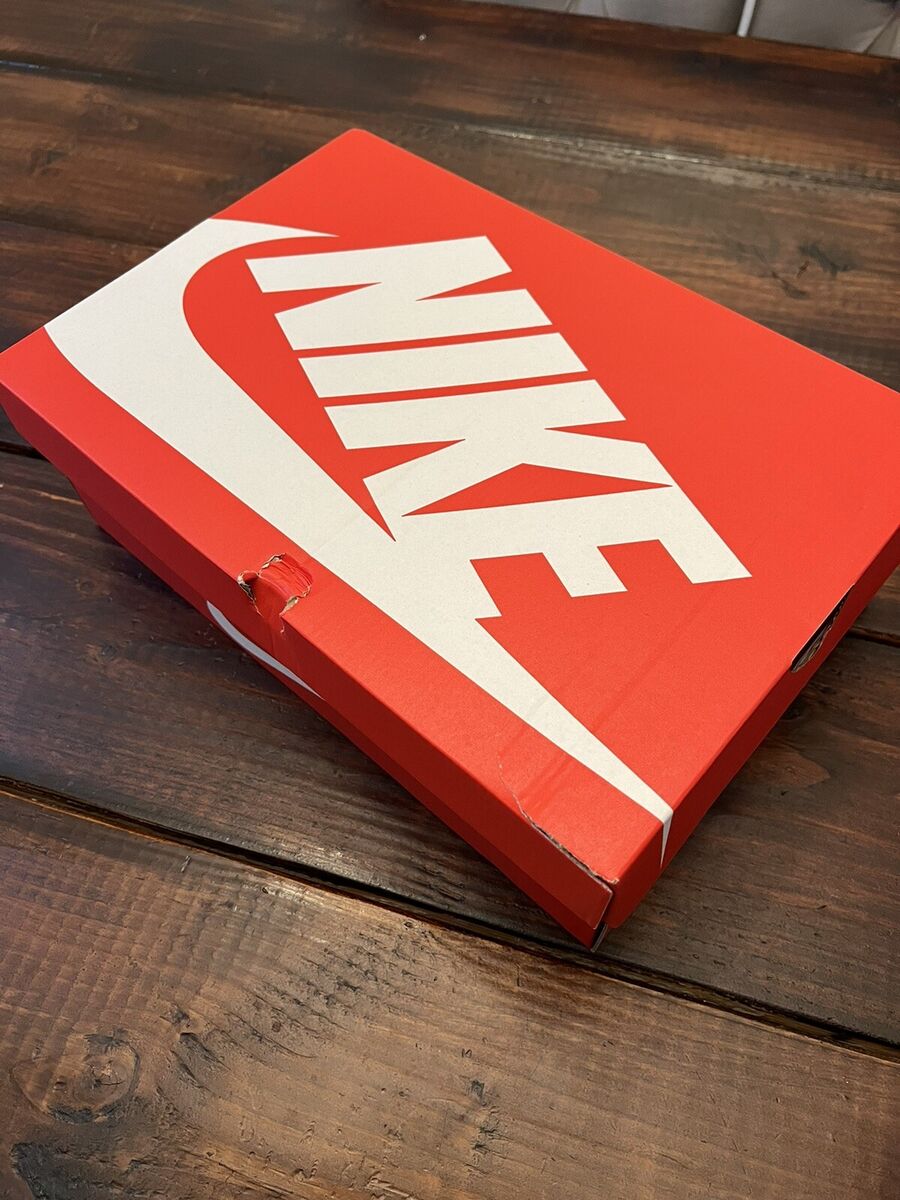 Nike Dunk Low Retro SE Photon Dust Vintage Green Size 12 Nike Dunk Low Retro SE Photon Dust Vintage Green Size 12