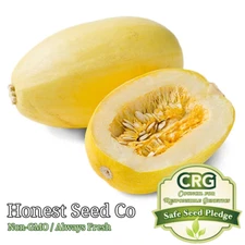 25+ Spaghetti Squash Seeds | Non-GMO | Fresh Heirloom Garden Seeds