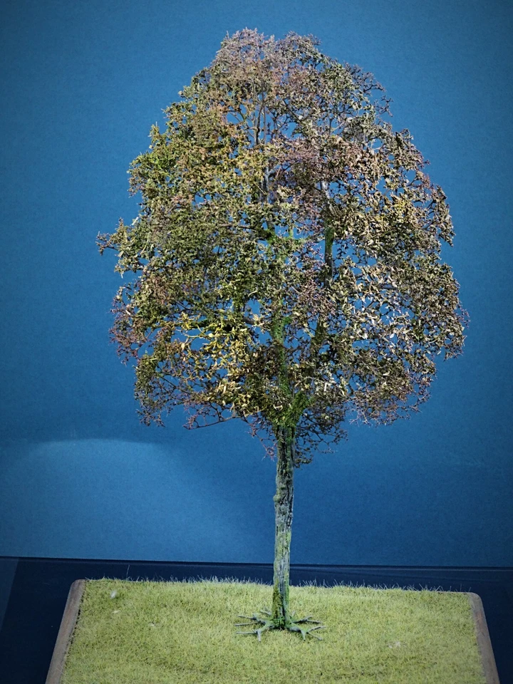 NEUTRINO MODELLBAU UG (HAFTUNGSBESCHRÄNKT) Diorama Zubehör, 1 Modellbaum Buche wenig Herbst Laub bemoost, 35 cm hoch