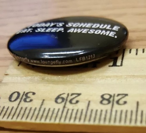 TODAY'S SCHEDULE EAT SLEEP AWESOME Fun Pin Retro Throwback Pinback Witty Button - Picture 4 of 5
