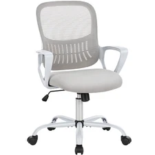 Office Chair Ergonomic Chair Mesh Computer Chair Lumbar Support Fixed Armrest