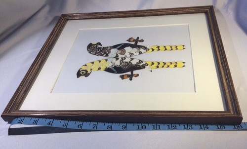 African Butterfly Wing Framed Birds Parrots Art Collage Framed - Picture 5 of 6