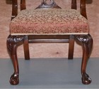 Picture 20 of 20