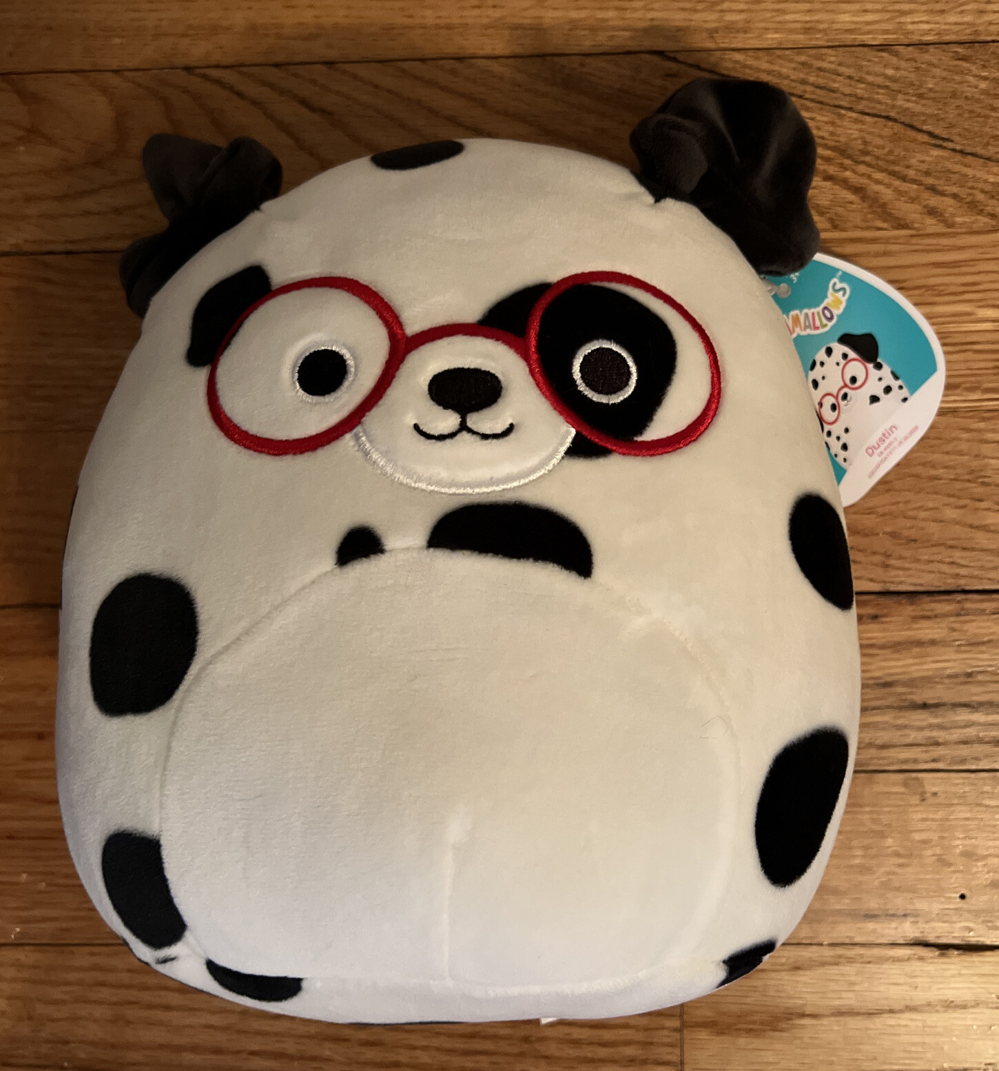 squishmallow dog with glasses