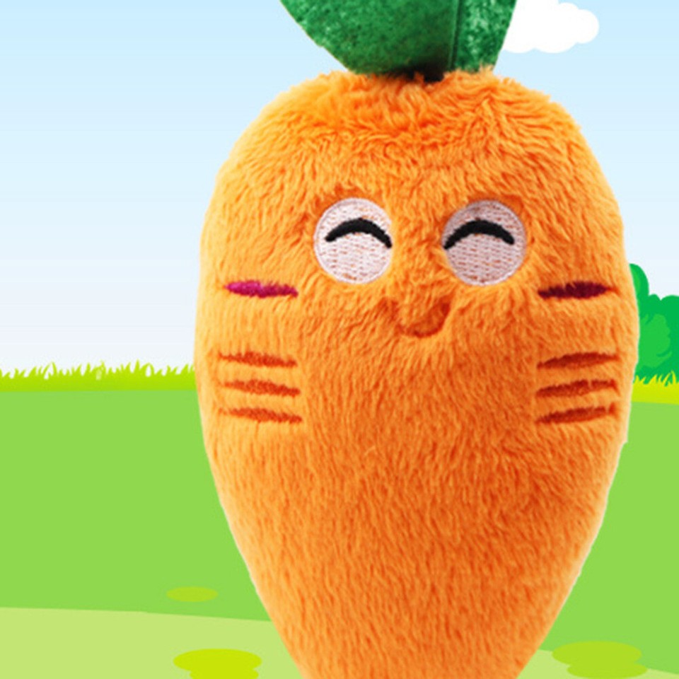 5 Pcs Dog Sound Funny Pet Toys Chicken Leg for Dogs Bone eBay