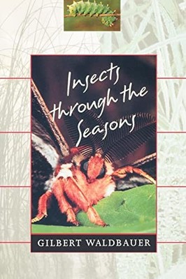 Insects Through the Seasons, Waldbauer, Gilbert
