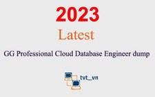 GG Professional Cloud Database Engineer Q A GUARANTEED 1 month update