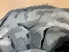 Pug puppy 20 x 24” oil painting on canvas  modern on canvas — photo 8