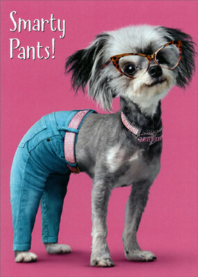 Smarty Pants Dog Wearing Blue Jeans Humorous  Funny Graduation Card for Her