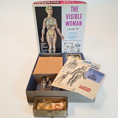 Vintage 1960s Renwal Visible Woman w/ Pregnancy Model Kit Anatomy