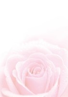 25 Blatt Din A4 Motivpapier-215 Blumen-Motiv Rose Rosa Design-Papier