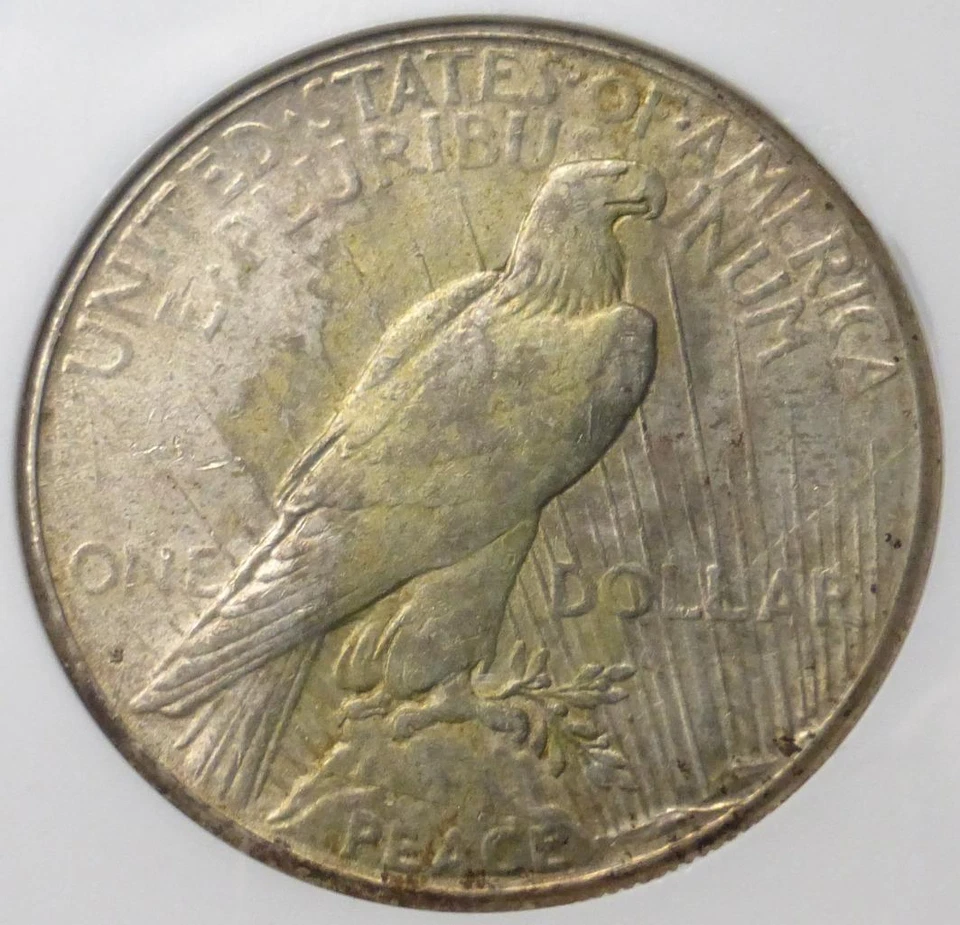 1925 S NGC AU58 Peace Silver Dollar, Semi Key Date, Certified USA Silver $1 Coin - Image 4 of 4