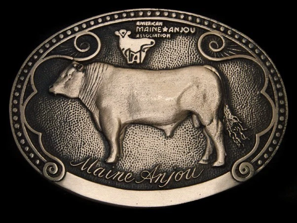 SK09153 * NOS* 复古 20 世纪 80 年代 * MAINE ANJOU * * CATTLE TONY LAMA 实心黄铜扣 — 第 2/3 张图片
