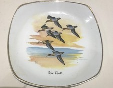 midwinter peter scott Vögel auf quadratischem 11cm Miniplatten