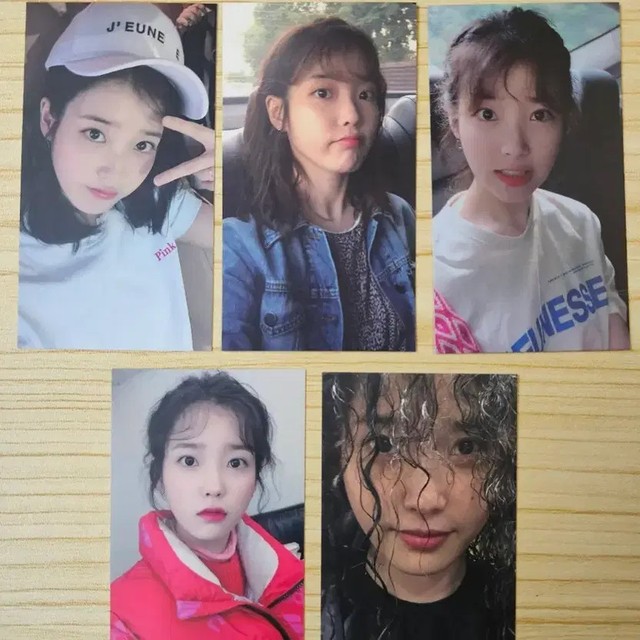 IU 10th Anniversary Fan Meeting Photocard Set of 5