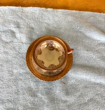 RW Rudolf Wachter Tea Cup & Saucer Bavaria 18 Handgemalt Dopard Perle Des Rheins