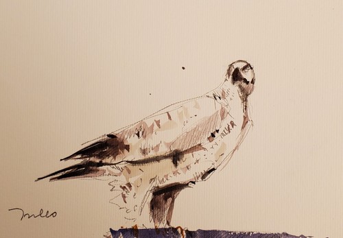 JOSE TRUJILLO Watercolor Painting Collectible ORIGINAL Hawk Bird Signed coa