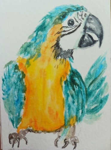 ACEO Colorful exotic Blue Macaw Parrot Bird art Original Watercolor Painting 