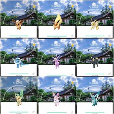 Eevee explorer hat Seoul Safari and Evolutions - Trade - Read Description