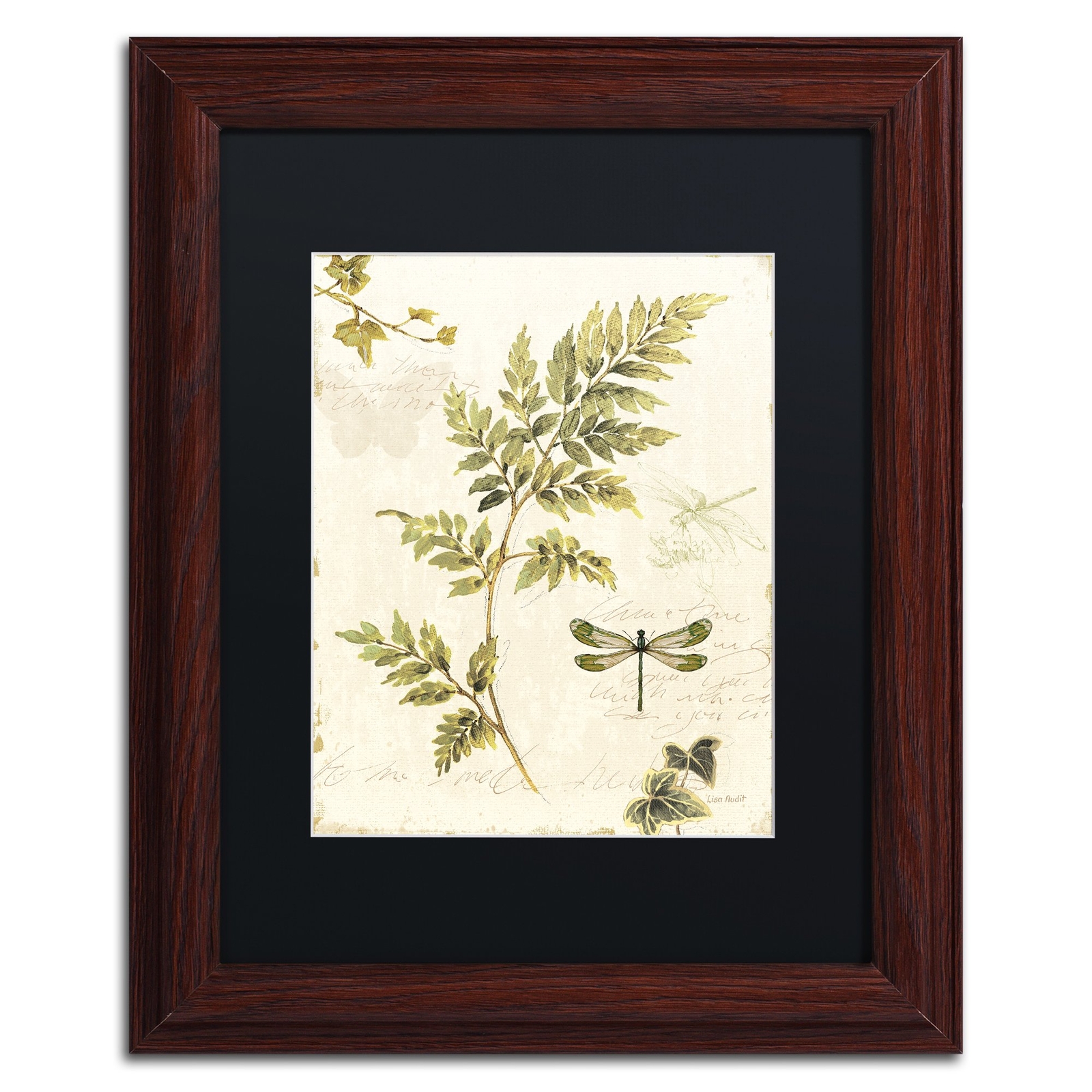 Lisa Audit Ivies & Ferns III 11x14 Black Matte Wood Frame Wall Art  