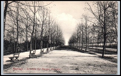 Postcard Santiago Avenida del Parque Forestal   Q101