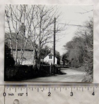 Original altes Foto - Reife Sussex