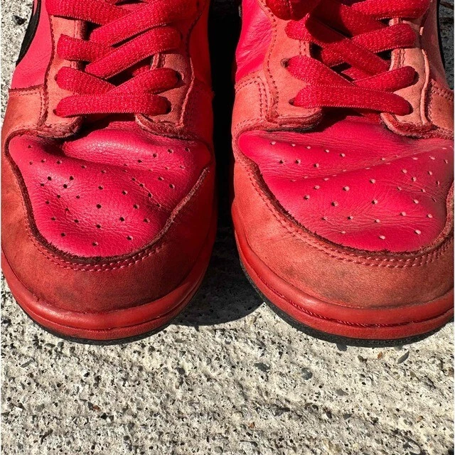 NIKE DUNK LOW PRO SB RED DEVIL 304292-601 True Red Black US 9 No Box From Japan