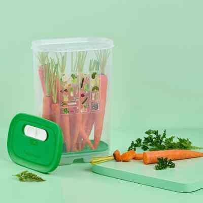 NEW Tupperware Fridgesmart Vertical Tall Container Fruit & Veggie Keeper 3.4 Qt