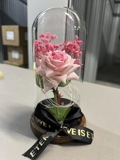 Preserved Rose Gifts for Women Forever Real Rose in Glass Dome Romantice Rose...