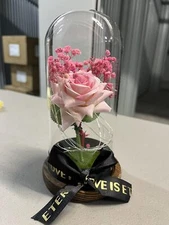 Preserved Rose Gifts for Women Forever Real Rose in Glass Dome Romantice Rose...