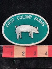 Vtg Farmer FIRST COLONY FARMS Advertising Patch PIG HOG SWINE 00M5