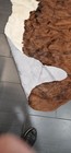 8x8 Genuine Cowhide Rug — photo 9