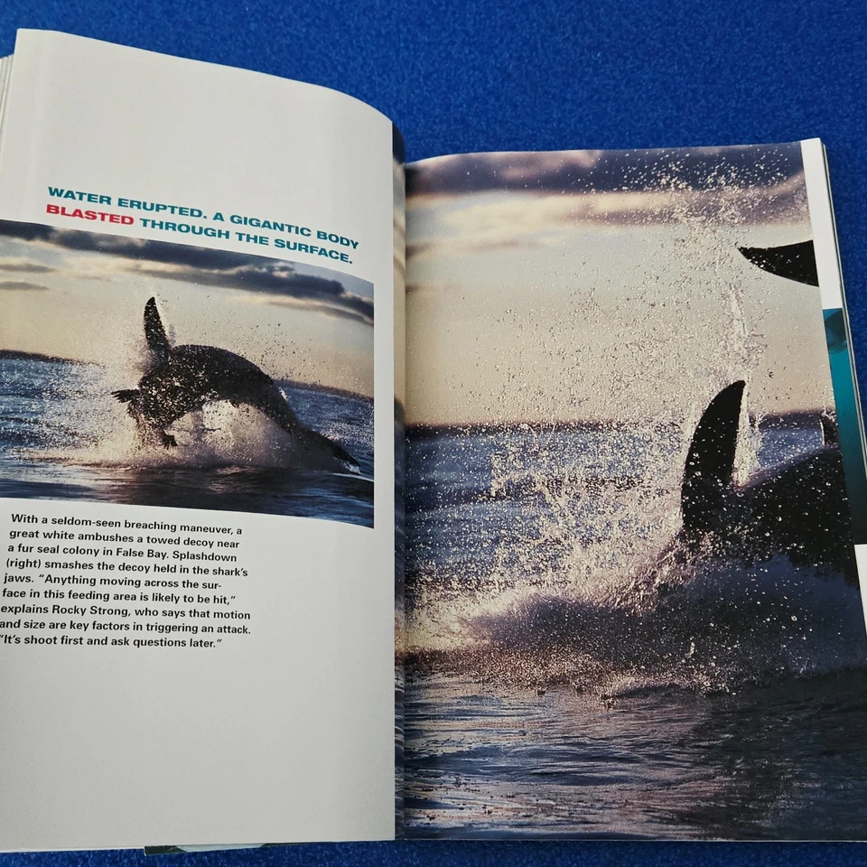 INSIDE THE GREAT WHITE SHARK APRIL 2000 NATIONAL GEOGRAPHIC MAGAZINE - Image 2 of 4