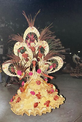 BRAZIL - AMAZONAS - Brazilian Beauty at Folk Festival in Costume - Postcard
