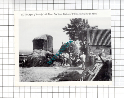 Agar Stakesby Vale Farm vierspurige Enden Whitby Yorkshire - kleiner Ausschnitt