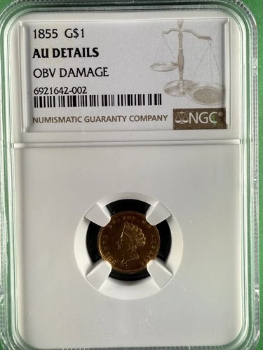 1855 Indian Princess, Small Head, Gold Dollar - NGC AU Details