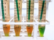 Reliable, In-House Salmonella Test Kit for Wet/Dried Environment - 4 Tube Kits