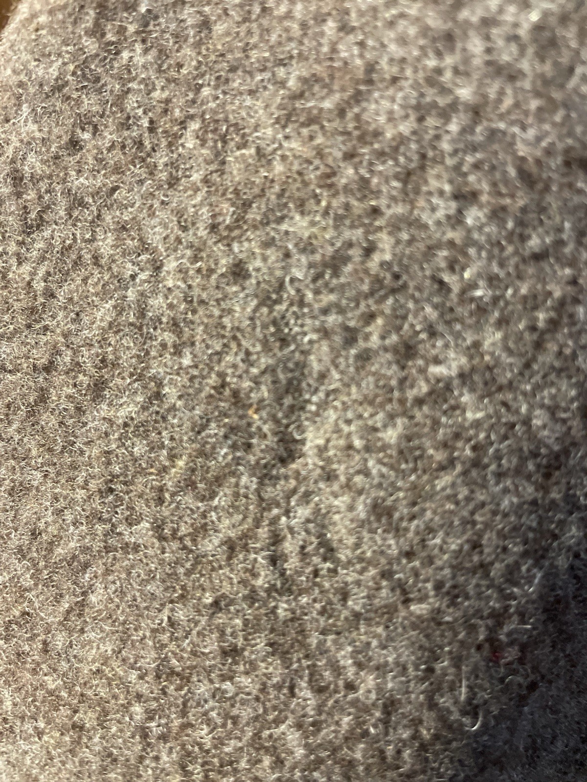 Picture 22 of 23