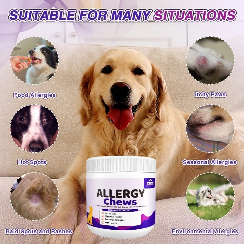 Dog Allergy Relief-Itching Skin Relief- Dog Probiotics for Itchy Skin and Ears - Image 4 of 4