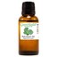 thumbnail 63 - Essential Oils - 30 mL (1 oz) - 100% Pure Therapeutic Grade Oil - 60+ Options!