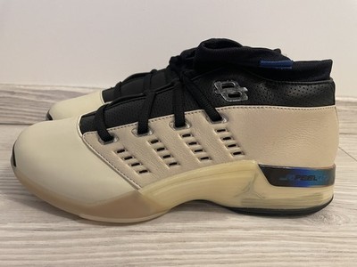 Nike Air Jordan 17 Retro low Infinite Archive NEU