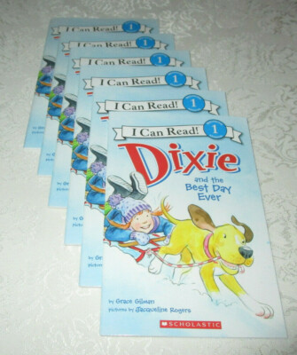 Dixie and the Best Day Ever Grace Gilman (Set of 6, Reading Level J) Brand New 
